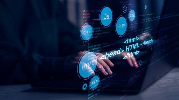 Small business web development service